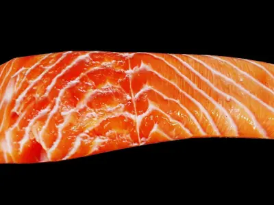 Salmon Fillet Low-poly 3D model