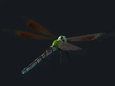 Dragonfly Anisoptera Low poly PBR Low-poly 3D model