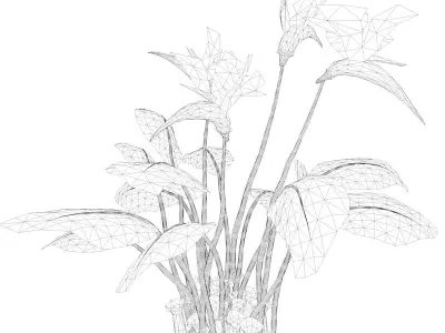 Bird of Paradise Flower - 05 - 3D model