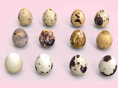  Bird Eggs Free low-poly 3D model