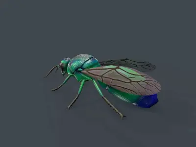 Cuckoo Wasp Low-poly 3D model