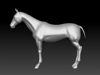 Horse animal steed Tpose land ride cavalry donkey mule racing 3D model