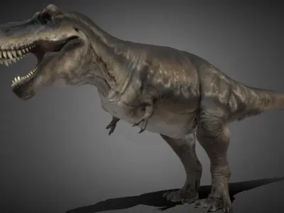 Tyrannosauru rex Low-poly 3D model