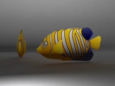 Angel Fish  Low-poly 3D model