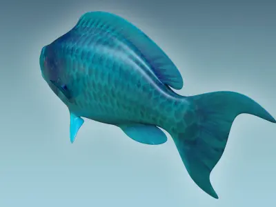 Parrotfish parrot fish 3D model