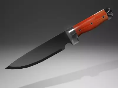 Polished Knife Free low-poly 3D model