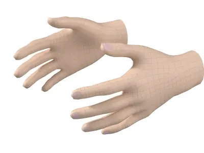 Female Hand Base Mesh 03 3D model