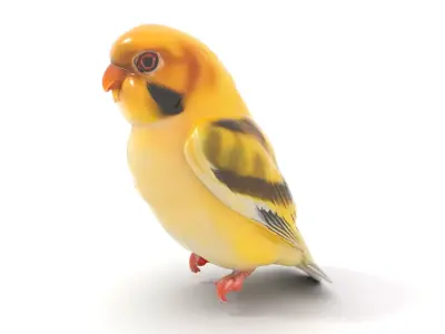 Golden Finch Bird model pack Low-poly 3D model