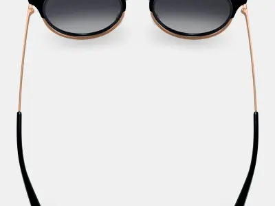 Cleo Sunglasses in Jet Black with Rose Gold 3D model