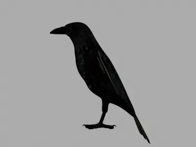 3D Crow raven with wings spread 3D model