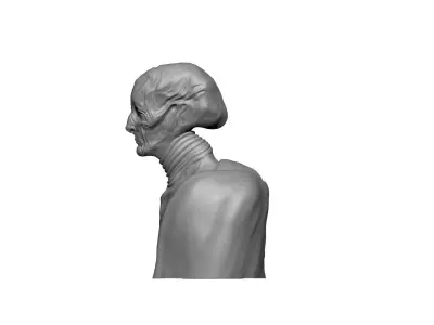Sci Fi Creature Bust 3D print model purchase