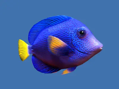 Purple Tang Schooling Fish Low-poly 3D model