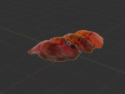 Sushi special Salmon and Tuna nigiri with teriyaki mango sauce 3D model