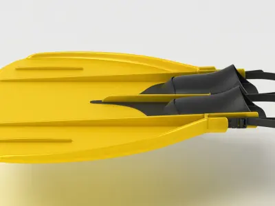Flipper Fins 3D model