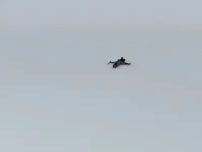 Shockwave Super FI131 3D model