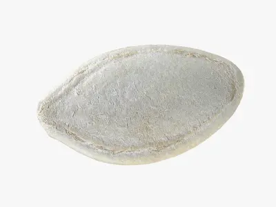 Pumpkin Seed 02 3D model