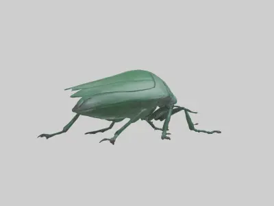 Beetle on leaf model Low-poly 3D model