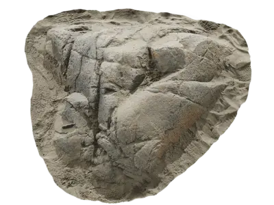  Small Cracked Beach Rock Model 