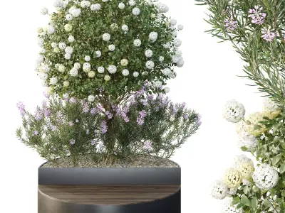 Tree and bush garden box outdoor VOL 20 Free 3D model