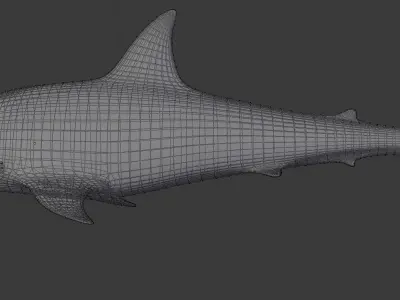 sharky shark Low-poly 3D model