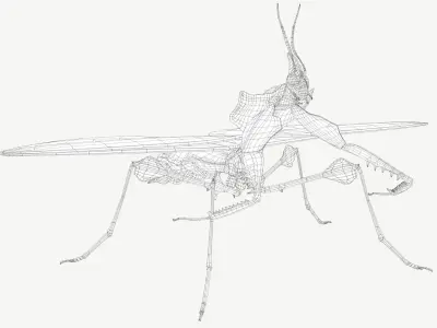 Giant Devils Flower Mantis Low-poly 3D model