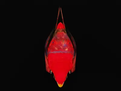 Red Lory Parrot Flamboyant Bird Low-poly 3D model