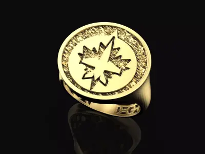 Winnipeg Jets Ring Fan Rings NHL Hockey Rings 3D print model