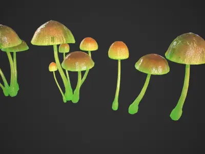 Generic Mushrooms Low-poly 3D model