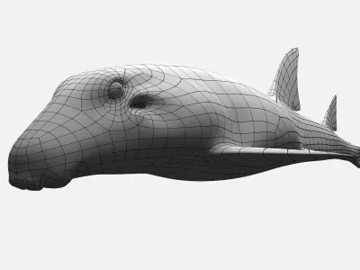 EPAULETTE SHARK Low-poly 3D model
