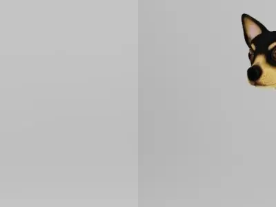 DOG CHIHUAHUA Low-poly 3D model