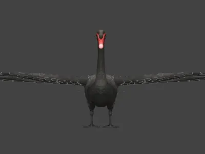  Swan  birds Low-poly 3D model