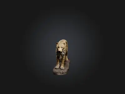 Realistic Wounded Leopard Model Low-poly 3D model
