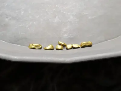 Iron Gold Pan Low-poly 3D model