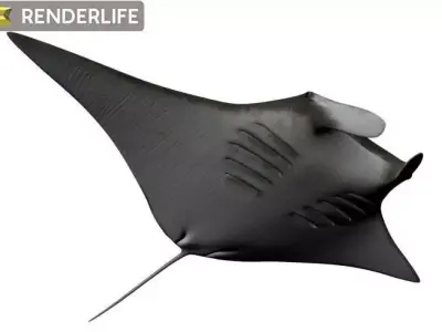 Manta Ray with animation 3D model