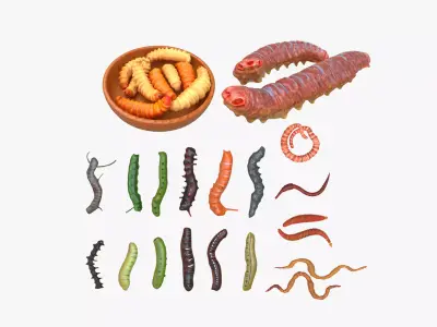 Worm Set Collection Low-poly 3D model