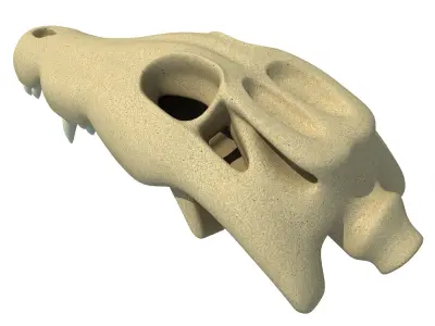 Crocodile Skull 8 3D model