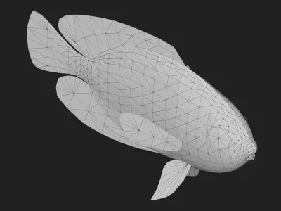 Bass fish Low-poly 3D model