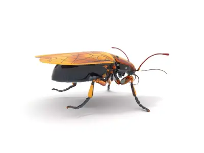 Golden Robo Beetle model pack Low-poly 3D model