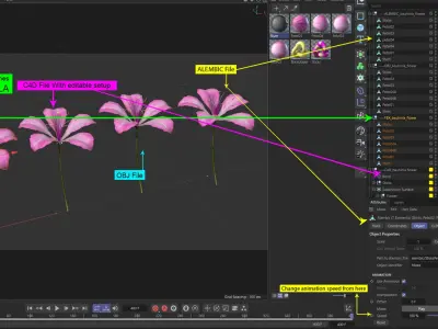 Animated Bauhinia Flower 3D model