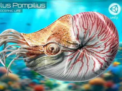Nautilus Pompilius - Shell Mollusk - Underwater Tentacles - 44 Low-poly 3D model