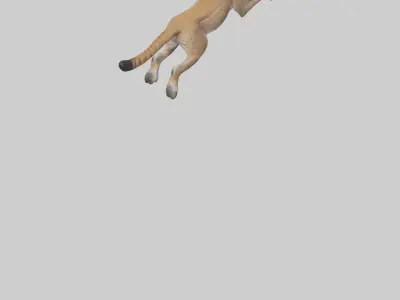 Lynx jumping model Low-poly 3D model
