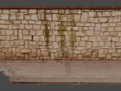 Stone wall and stone path scan  Free 3D model