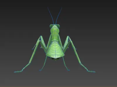 mantis insect Low-poly 3D model
