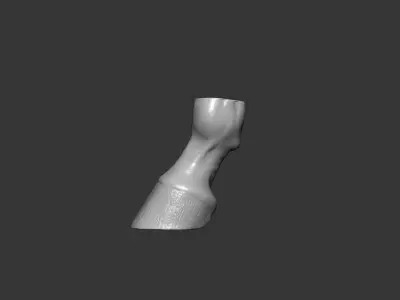 Horse Hoof Highpoly Sculpt 3D model