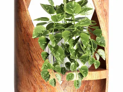 indoor plant set102 3D model