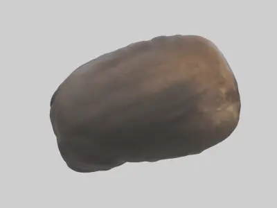 Moose Stomach Low-poly 3D model