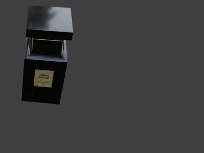Modern Perfume Bottle 3D Model for Product Advertising 3D model