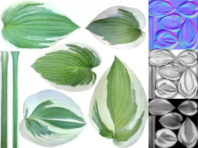 Small plants - low poly - 6 Variations - 281 Models Free low-poly 3D model