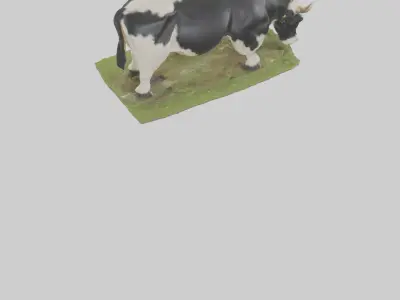 Galloway Cow grazing model 3D model