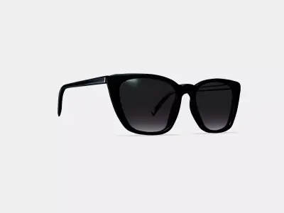 Janelle Sunglasses in Jet Black 3D model